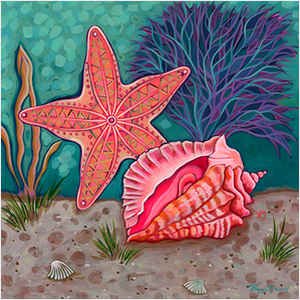 Shell and Starfish