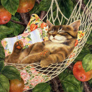 Anne Anne Mortimer Sleepy Kitties