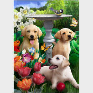 Springtime Puppies