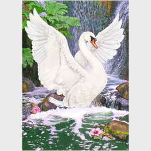 Swan Bathing at Waterfall