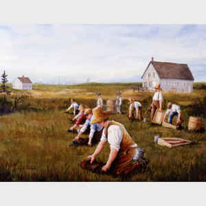 The Cranberry Pickers