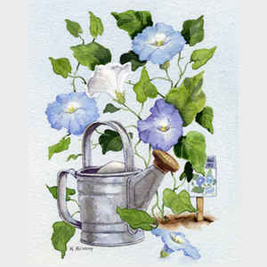 Watering Can and Morning Glories