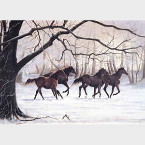    Winter in the Pasture